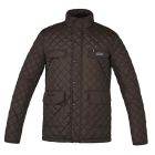 Kingsland Steppjacke für Herren MARIO