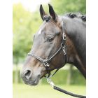 Lederhalfter Nobility