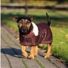 QHP Hundedecke Diamond Softshell-bordeaux