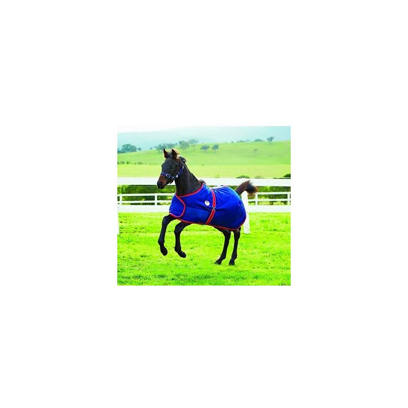Tapis Refroidisseur Pour Chevaux Weatherbeeta - Standard - Neuf Sous