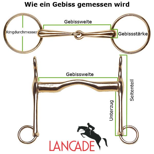 Trense Von Feeling Fur Pferde Reitsport Artikel Online Kaufen Pferdegebiss Aus Edelstahl