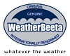 weather-beeta-logo